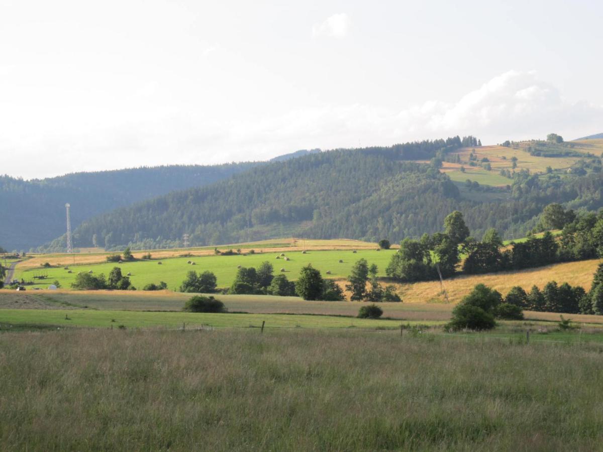 Apartamenty Anagora Kotlina Klodzka II Nowa Ruda Exterior foto